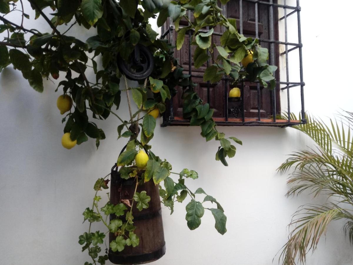 Fery & Nico Apartment Granada Exterior foto